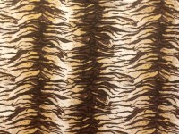 /album/jekuli-design/tiger-jpg/