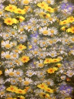 /album/jekuli-design/sommarang-jpg/